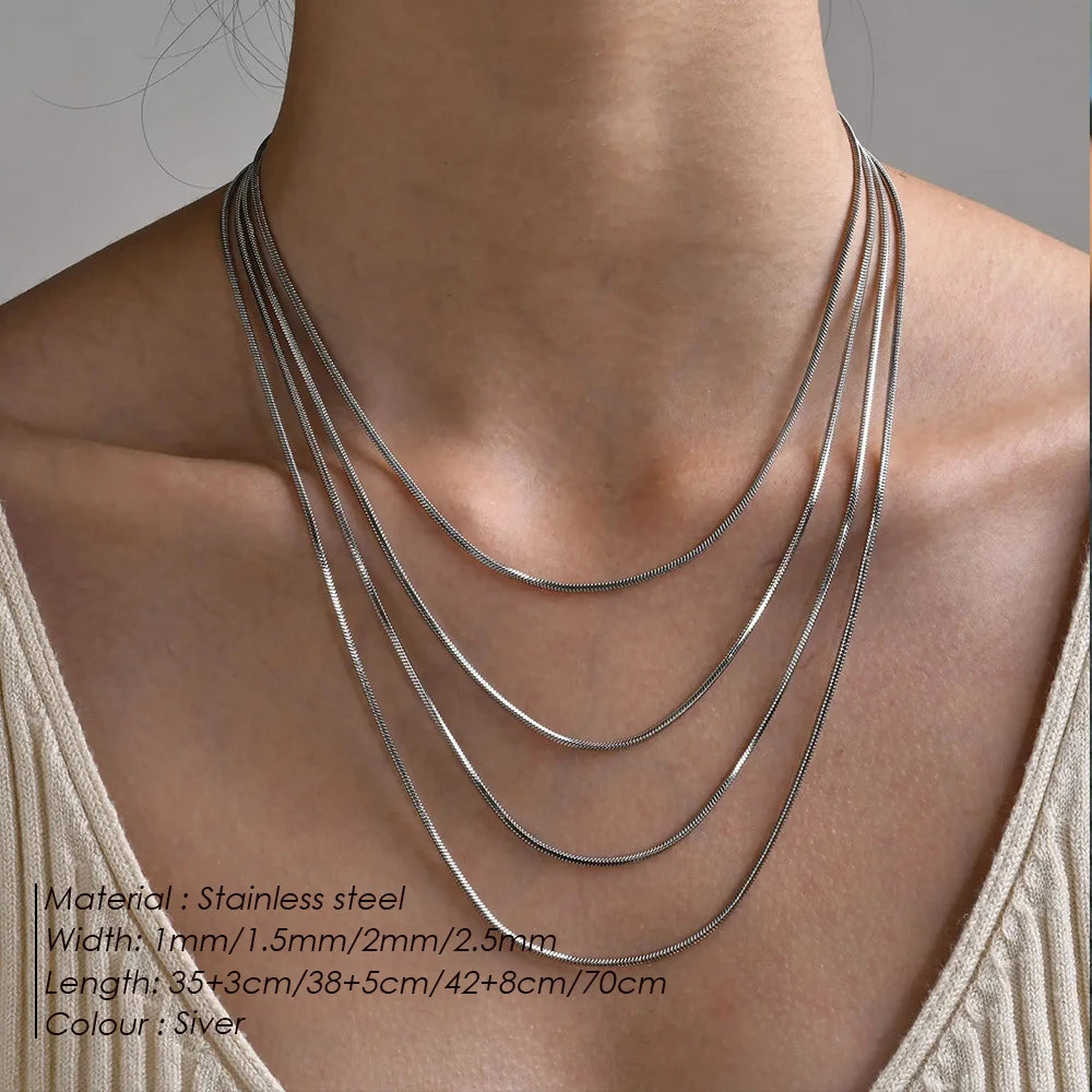 Silver Snake Chain Choker